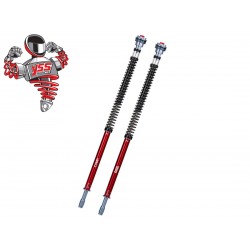 Φυσίγγια Πιρουνιού κιτ BMW F800 GS Adventure 2013-2018 YSS